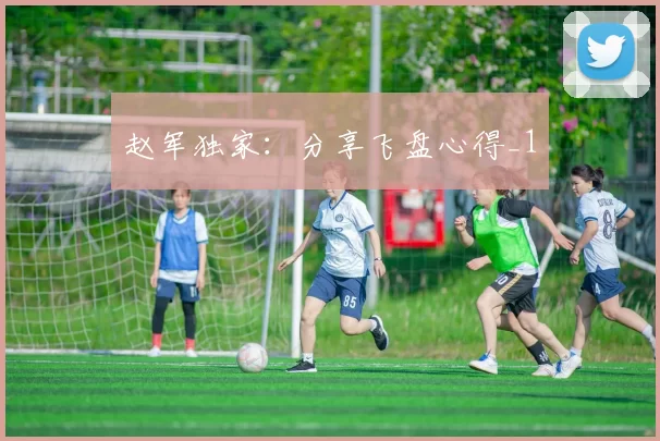 赵军独家：分享飞盘心得_1