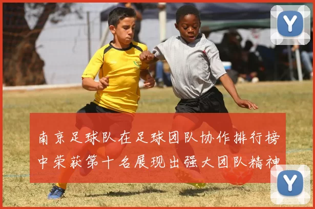 南京足球队在足球团队协作排行榜中荣获第十名展现出强大团队精神与默契配合