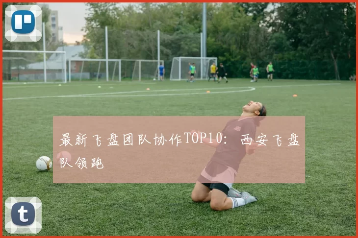 最新飞盘团队协作TOP10：西安飞盘队领跑