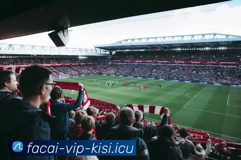 华体会体育发展历程